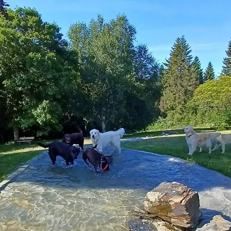 Schlossberg * Medebach