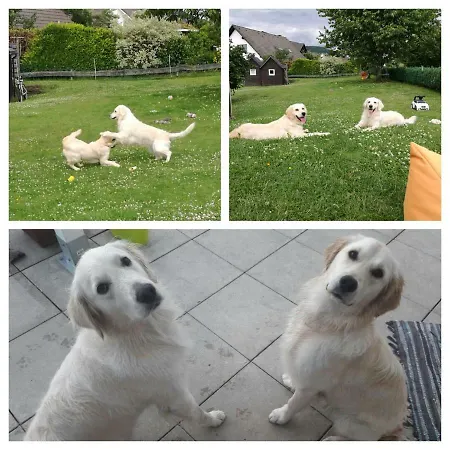 Schlossberg Apartmán