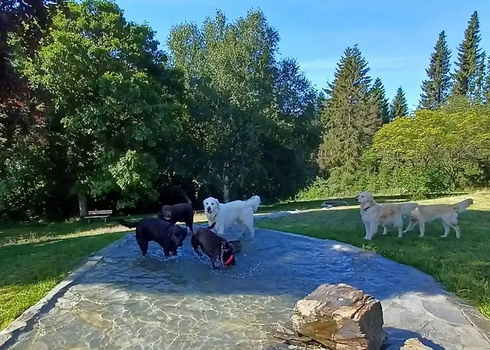 Schlossberg * Medebach