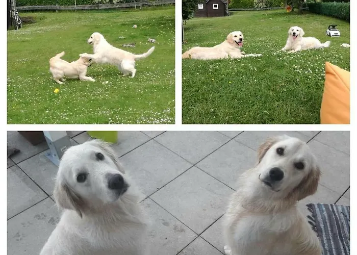 Schlossberg Appartement